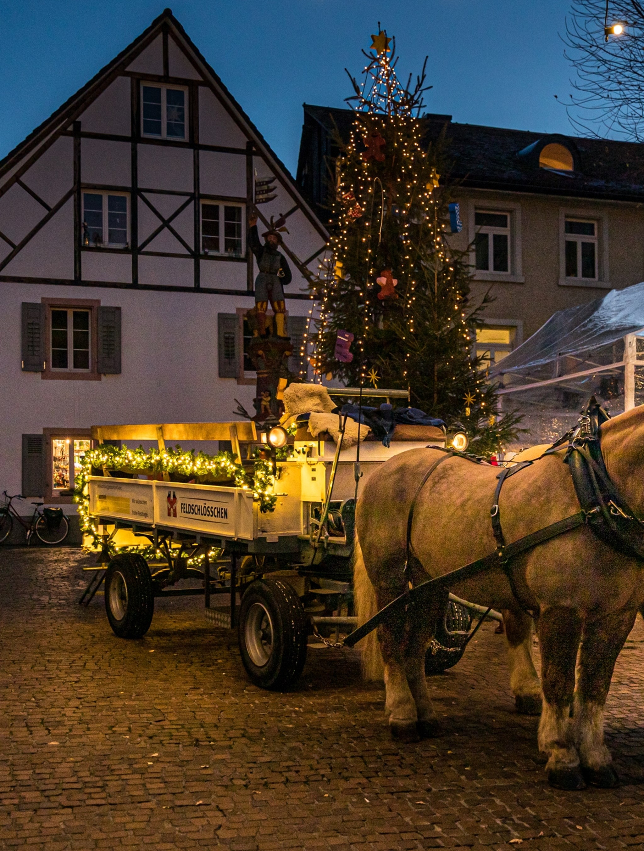 Kutschenfahrten im Advent