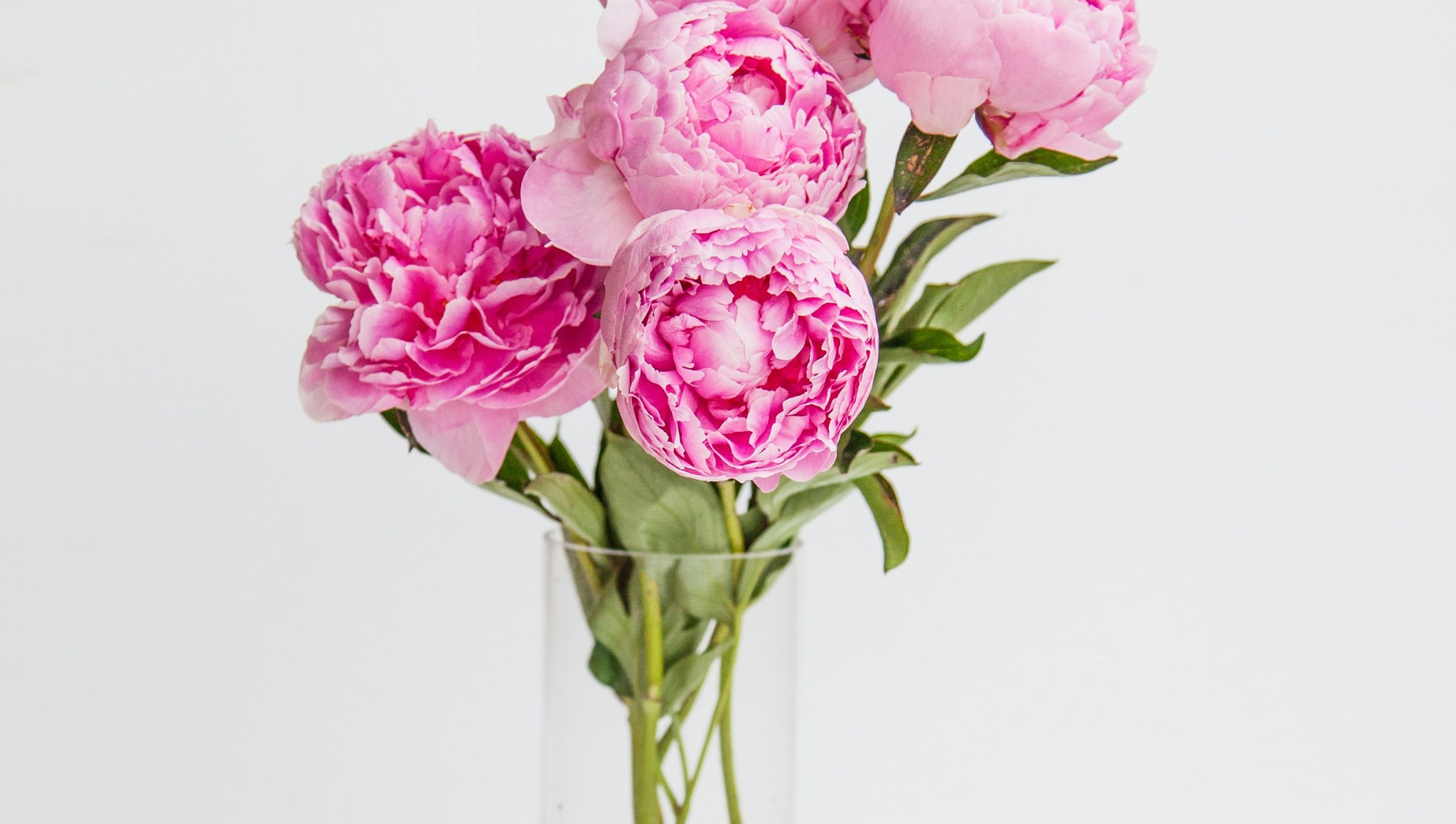 Frühlings-BBQ am Pfingstwochenende